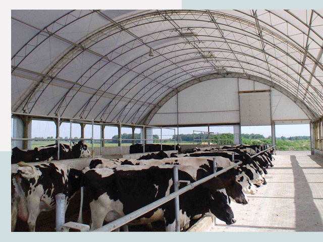 Тентовые коровники в Раменском